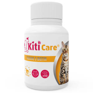 Kitty_Care